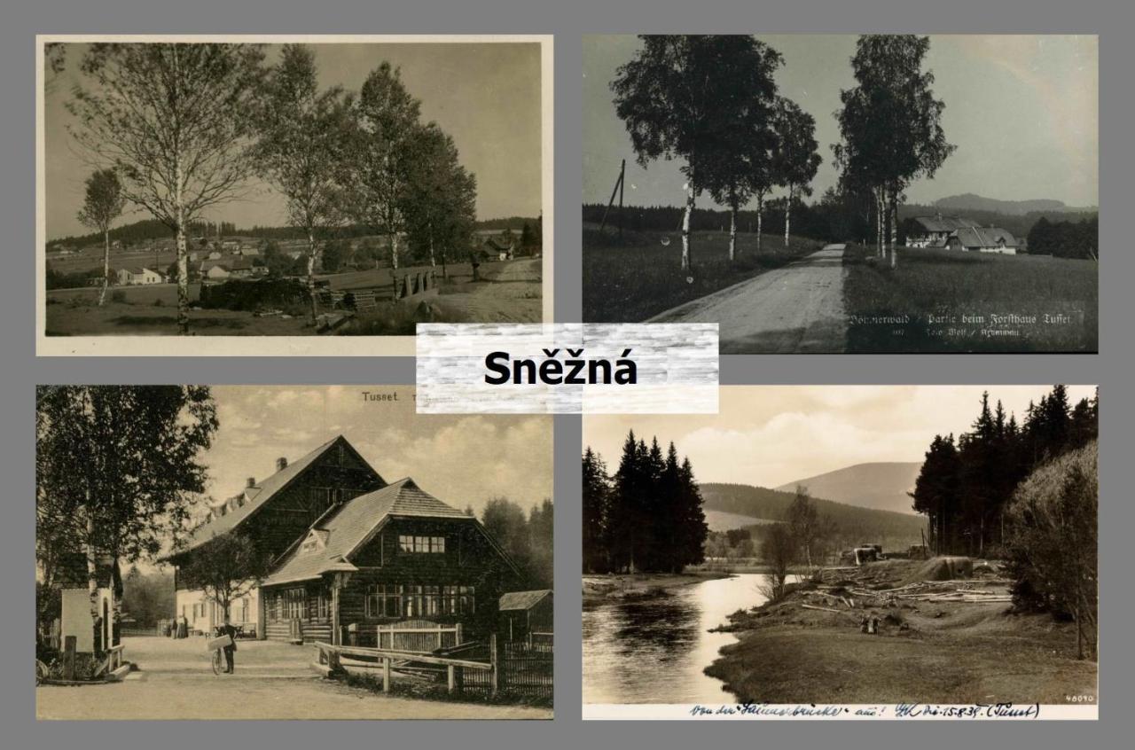 Snezna